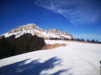Le Grand Colombier